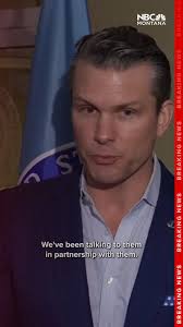 Check out this cool video of three mountain lions relaxing!