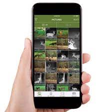 Maybe you would like to learn more about one of these? Amazon Com Moultrie Mobile Xv7000i Cellular Trail Camera Verizon Network Everything Else