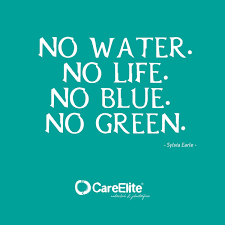 Enjoy reading and share 61 famous quotes about water pollution with everyone. Fight Against Plastic Pollution No Water No Life No Blue No Green Environmentalscience Env Water Pollution Poster Water Pollution Water Pollution Quotes