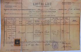 Hungarian Jewish ancestry documents translation needed