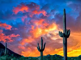 Giclee print on gallery wrapped canvas. Arizona Desert Sunset Painting By Dominic Piperata
