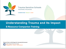 Trauma informed care is broad and reflects many different strategies; Trauma Sensitive Schools Training Package Safe Supportive Learning