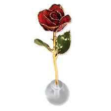 These preserved roses can last for years. Pin On Gold Dipped Roses