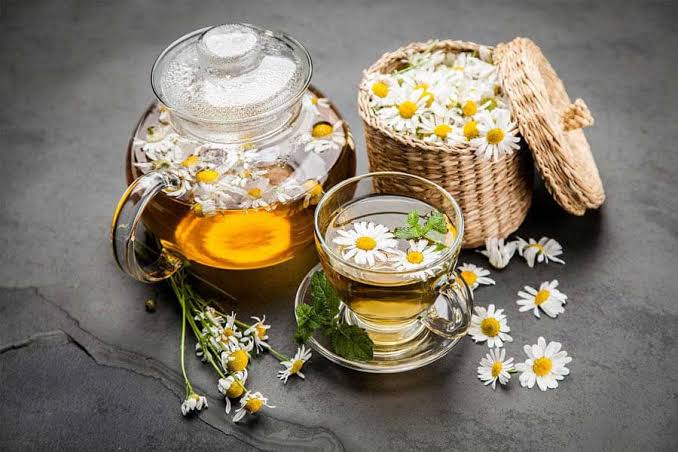 Cúc la mã – Loài hoa dại nhưng ẩn chứa những điều tuyệt vời | Mediworld