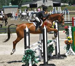 Huntington Public Schools, NY