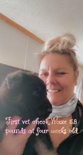 Kitten's First Vet Visit and Weight