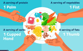 Getting The Portion Sizes Correct For A Weight Loss Diet Plan