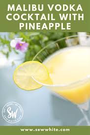 Add ice and shake to chill. Malibu Vodka Cocktail With Pineapple Recipe Sew White