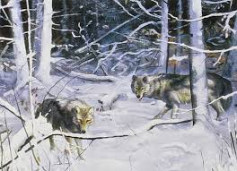 Harrison Ford pressenti pour jouer dans L'Appel de la forêt, de ...