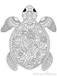 Turtle, with complex and beautiful patterns. Image Result For Turtle Colouring Pages For Adults Raskraski S Zhivotnymi Raskraski Shablony Zhivotnyh