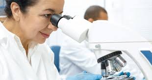 DZHK Jahresbericht 2020