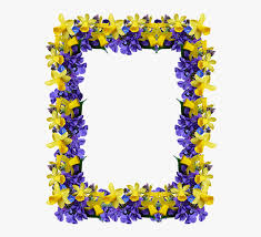 Îți doresc să știi și să simți întotdeauna cât de puternică, deșteaptă și frumoasă ești! Transparent Violets Png Felicitare La Multi Ani Png Download Kindpng