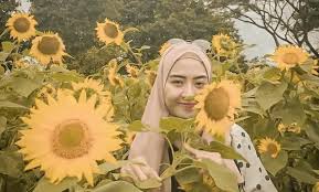 Sketsa bunga matahari tersebut terlihat sangat detail dan nyata menyerupai bentuk aslinya. 8 Kebun Bunga Matahari Di Indonesia Bantul Jogja Kediri Batu Malang Bali Cisarua Bogor Jakarta Cipanas Bandung Jejakpiknik Com