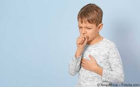 Pertussis Keuchhusten Symptome Diagnostik Therapie Gelbe Liste