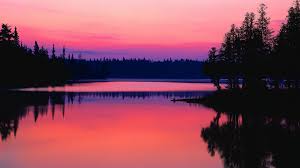See more ideas about flowers, pink nature, pink. Pink Nature Wallpapers Wallpaper Cave
