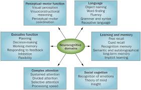 Neurocognitive Domains The Dsm 5 Defines Six Key Domains Of Cognitive Download Scientific Diagram Dsm 5 Cognitive Domain Cognitive Disorders