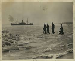 Image result for Padonia White 1986 Trathens FG Coaches