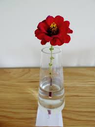 Plus, ways to make your own homemade flower food, so you can extend the life of your bouquets. Homemade Flower Food Experiment Garden Tea Cakes And Me