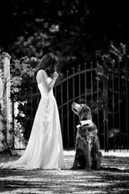 Hochzeit Auf Schloss Amerang German Wedding Photography By Julian Klemm Skyphoto With A 5d Mk Ii 70 200mm Is Dog Wedding Wedding Pets Amazing Wedding Photos