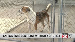 Anitas Stevens Swan Humane Society No Longer Has Contract to Take Stray  Dogs from Utica Animal Control