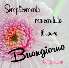 Nel corso della sua carriera ha vinto per due volte il festival di sanremo, rispettivamente nel 2016, anno in cui ha vinto come esordiente nella categoria nuove proposte con il brano amen (ottenendo anche il premio emanuele luzzati, il premio della critica mia martini e il premio sergio bardotti. Buongiorno Immagini Nuove Fiori Toghigi Paper