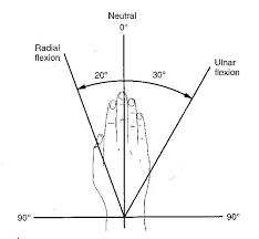 Physical Exam Of The Hand Hand Orthobullets