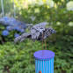 Artini: Whimsical Kinetic Art event image