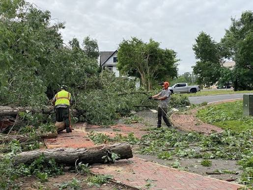 Storm Damage Cleanup