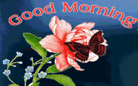 Good morning flowers images 2020 it's a beautiful new collection images for you to wish a good day to all ood morning cards, images and gif animations you can share via whatsapp, viber, facebook, email, mms, wifi direct and other ways. á…top 350 Good Morning Gifs Morning Gif Love Gif Images