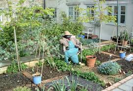 Rotate crops in your small garden march 12, 2020 crop rotation is the practice of changing what you plant where from one year to the next, based on plant groups. Low Maintenance Garden Ideas For Small Yards Yardyum Garden Plot Rentals