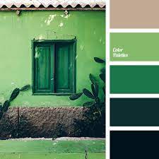 We did not find results for: Cactus Color Color Palette Ideas