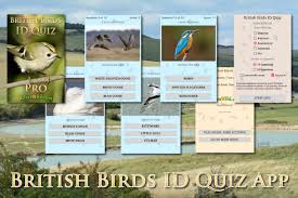 British Birds Id Quiz App By Active Wild Free Download From