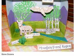 Biome In A Box Biome Diorama School Crafts Diorama Biomes