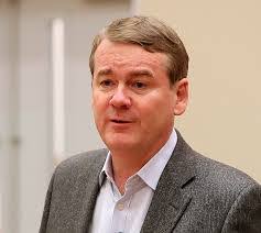 Shannon Ringgold's Instagram, Twitter & Facebook