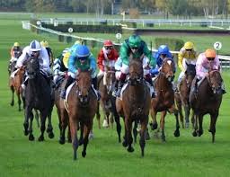 Check spelling or type a new query. La Derniere Minute De Zone Turf Pour Le Quinte Du Jour Le N 8 Auenwolf Plat Zone Turf Fr