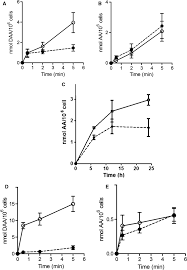 Glucose transporter type 10—lacking in arterial tortuosity  syndrome—facilitates dehydroascorbic acid transport