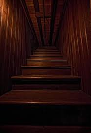Winchester Mystery House Stairway To Nowhere Winchester Mystery House Winchester House Spooky Places