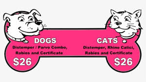 Maybe you would like to learn more about one of these? Dog And Cat Shots As Low As 26 Cats And Dogs Shots Hd Png Download Kindpng