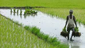 We did not find results for: Introduction To Agriculture Subsistence Commercial Farming Examples