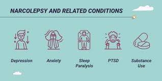 Image result for Narcolepsy