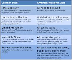 Calvinism Tulip