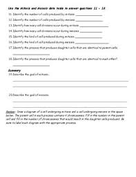 Mitosis is the process in which a cell's nucleus replicates and divides. Mitosis And Meiosis Webquest Level 3 By Paulina Reece Tpt