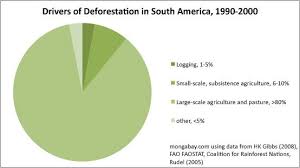 Charts And Graphs About The Amazon Rainforest Amazon