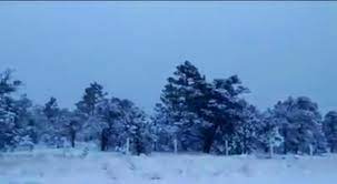 Video Asi Cayo Nieve En Casas Grandes Tiempo