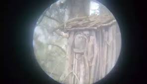 Image result for site:byggahus.se blanda