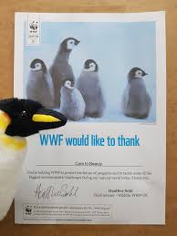 These airline taxes and fees can get extremely pricey. Battle Climate Change Adopt A Penguin Care To Beauty