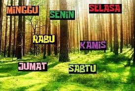 Terbaru 30 Gambar Lucu Hari Sabtu Libur Singkatan Hari Minggu Senin Selasa Rabu Kamis Jumat Sabtu Download Kumpulan Gambar Meme Mutiara Gambar Lucu Lucu
