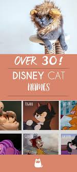 Just like the red/orange haired mermaid.; Disney Names For Cats Over 30 The Most Famous Cats Disney Cat Names Cute Cat Names Boy Cat Names