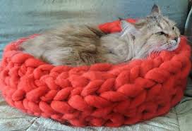 12 Adorable Ways To Make Your Home Cat Friendly Cat Bed Cat Diy Crazy Cats