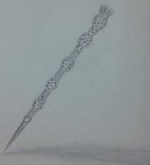 Elderwand Drawing Harry Potter Amino 1211 elder wand 3d models. elderwand drawing harry potter amino